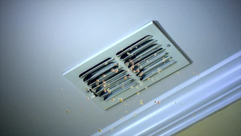 Best Professional Duct Cleaning Services  in Sierra Vista Southeast, AZ